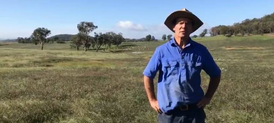 NEWLY GREEN: Farmer Rob Lee on his Larras Lee property where the drought has finally broken. Photo: Supplied