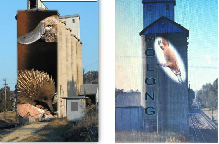 ANGLES: Suggestions for the silo murals. Photo: Supplied