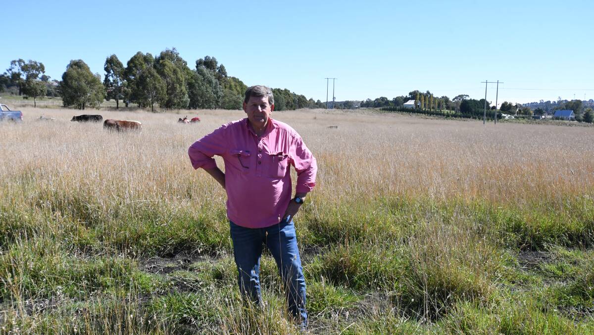 SITE: Cr Reg Kidd on the proposed site for an arboretum. Photo: CARLA FREEDMAN