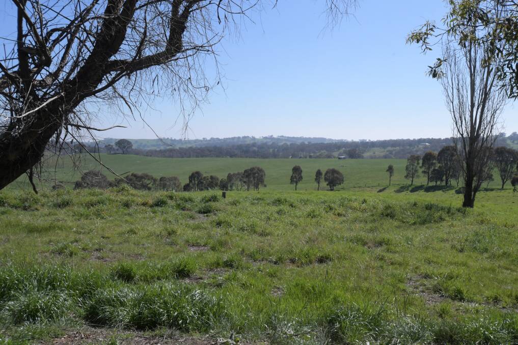 FARM LAND: The planned site for a solar farm north-west of Orange on the Mitchell Highway. Photo: JUDE KEOGH