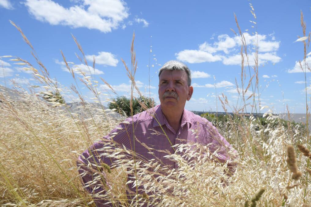 FIRE DANGER: Cr Glenn Taylor stands amid long grass on a block in Terry Turner Drive which needs to be mowed. Photo: CARLA FREEDMAN