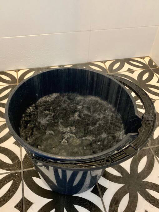 WATER SAVER: Catch your shower water in a bucket and re-use it on your garden. Photo: TRACEY PRISK
