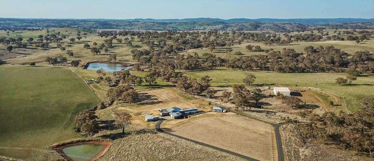 ROOM WITH A VIEW: Ashburton on Amaroo Road at Borenore is up for auction next month. Photo: Supplied