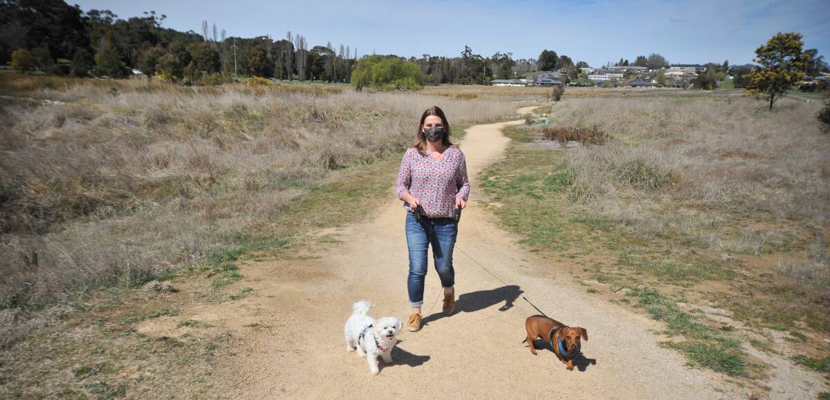 SNAKE SIGHTING: Cathy Mileto with her two dogs where she spotted a black snake at the Ploughmans Wetlands earlier this week. Photo: JUDE KEOGH