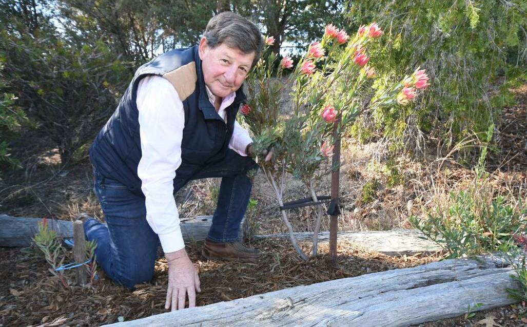 GOOD GARDENING: Cr Reg Kidd says mulching and using grey water from your house can support your garden to survive the drought. 
