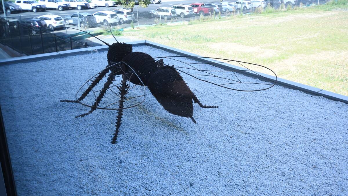 BIG BUG: The wasp sculpture sits on the building roof overlooking Prince Street. Photo: JUDE KEOGH