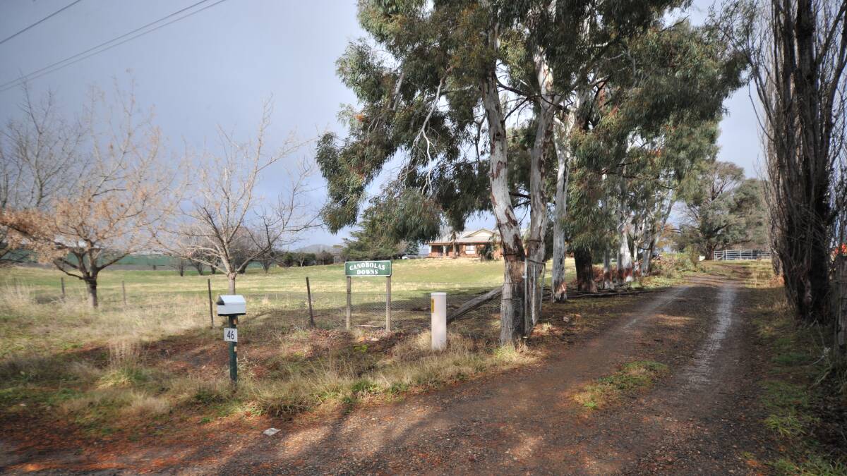 SITE: The property to be developed on Shiralee Road with the driveway trees to be removed. Photo: JUDE KEOGH