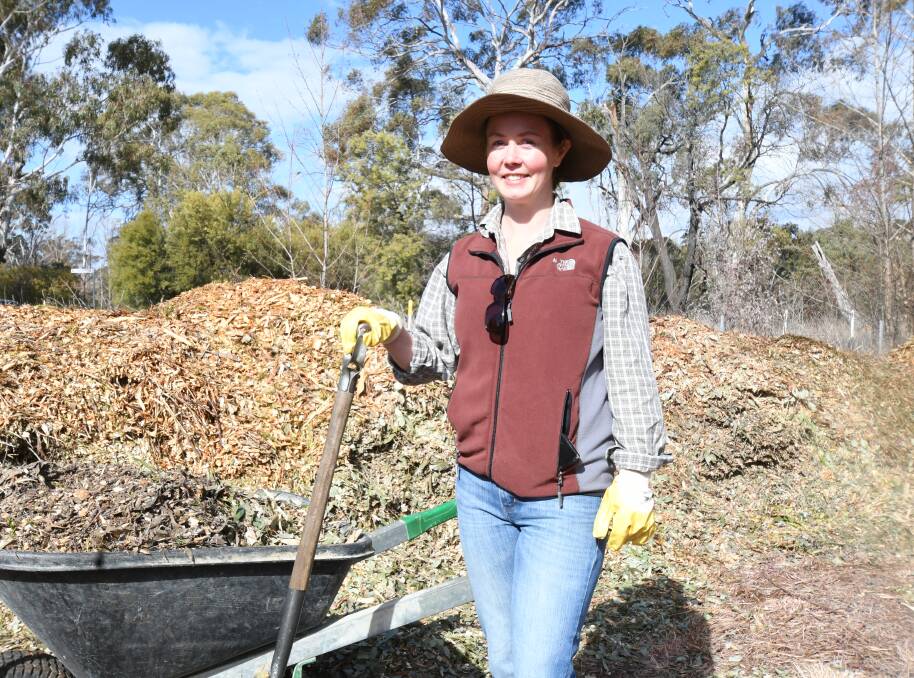 BENEFICIAL: Yvette Black was an organiser of the National Tree Day planting event at the Bloomfield Bushland area. Photo: CARLA FREEDMAN 0729cftreeplanting17