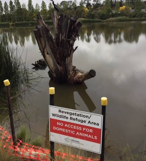 PROBLEM AREA: Photo supplied by Wetlands Care Group.