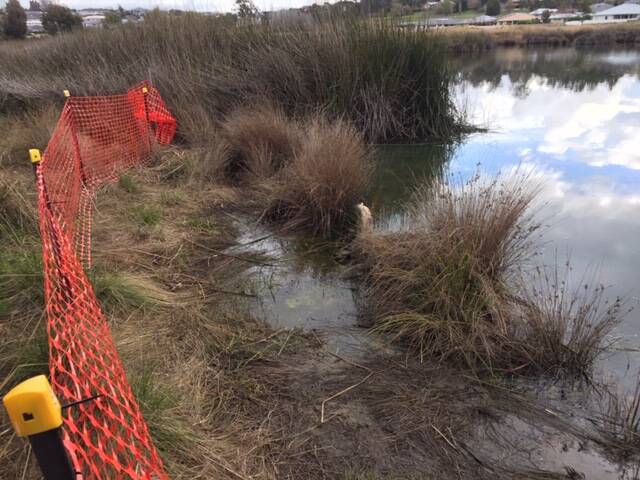 WETLANDS DAMAGE: Photo supplied by Wetlands Care Group.