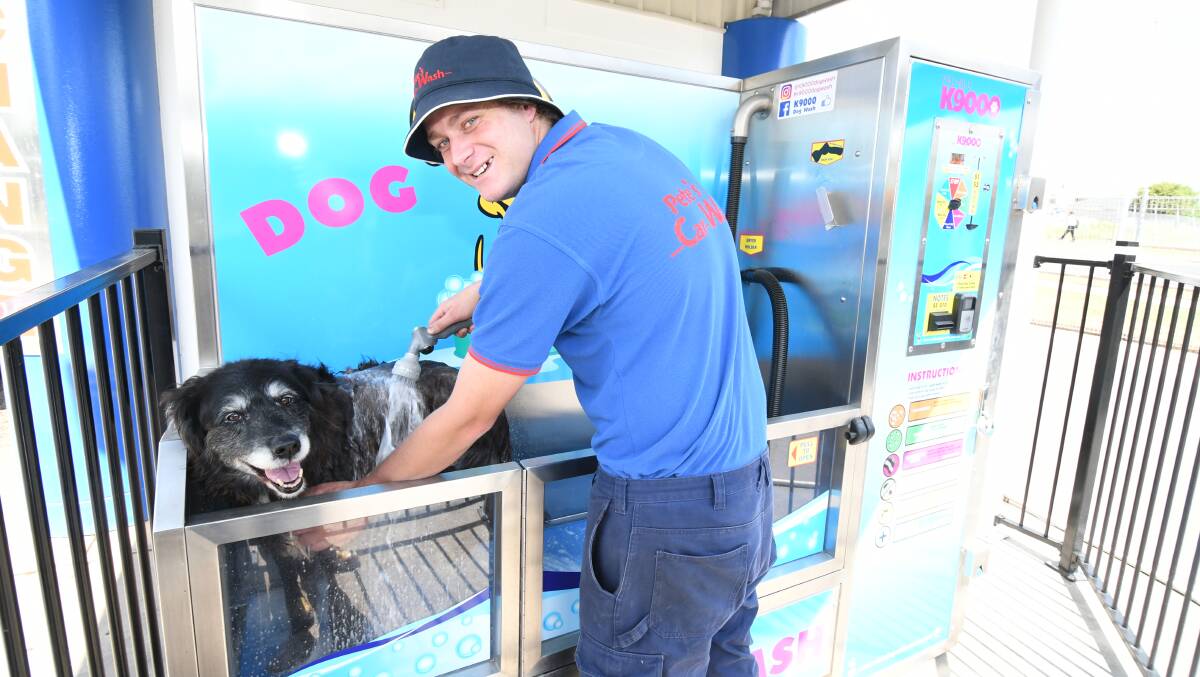 CLEANING UP: Pete's car wash manager Michael Rusden washes his dog Bella. Photo: JUDE KEOGH 1119jkdog1