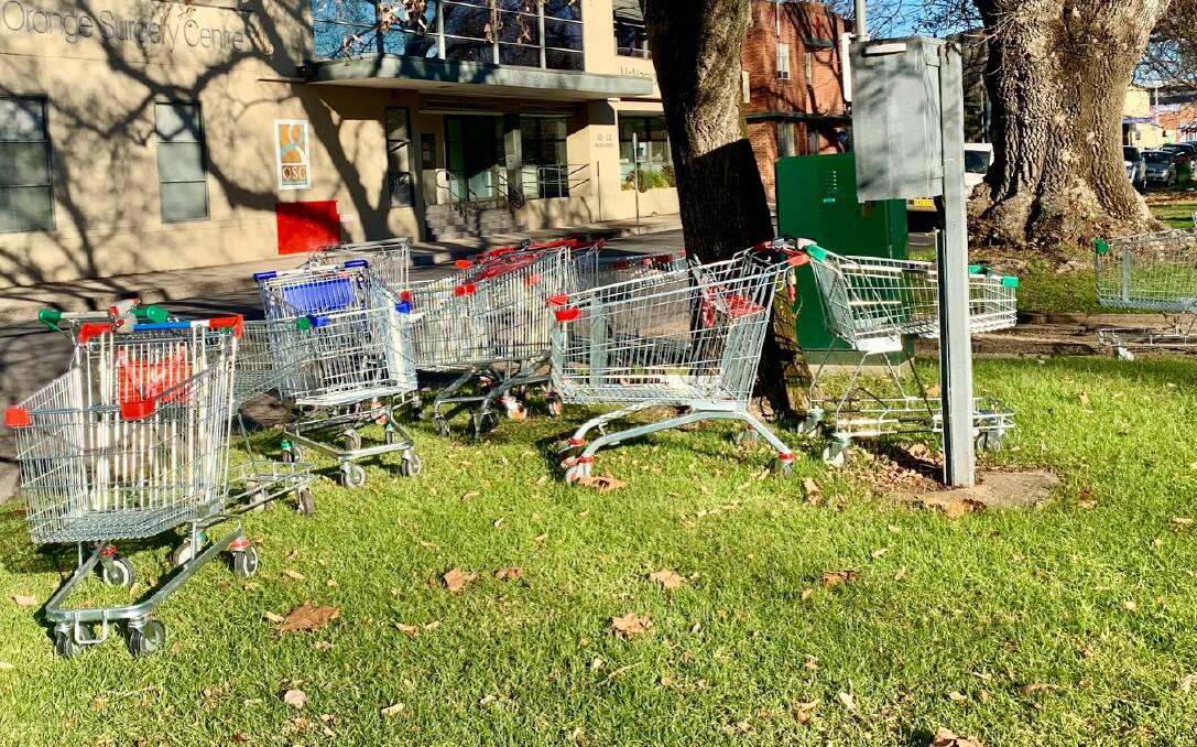 UNSIGHTLY: Shopping trolleys in Robertson Park. Photo: TRACEY PRISK