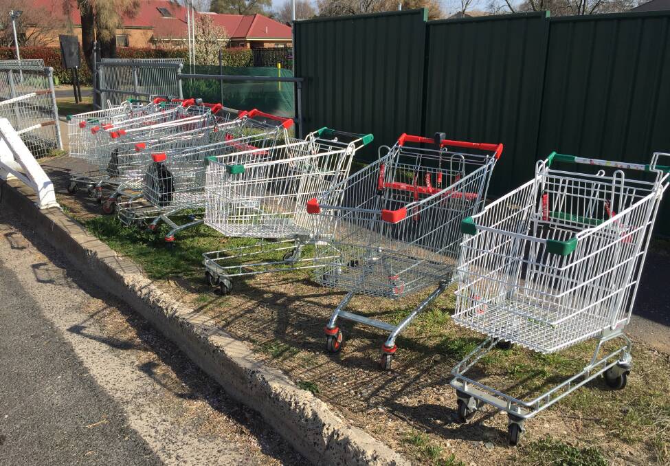 READY TO GO: Abandoned shopping trolleys near the East Orange channel.