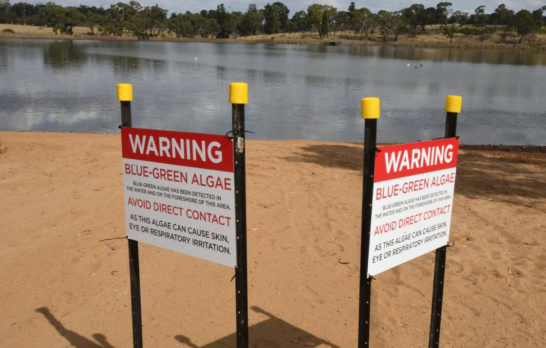 WARNING, WARNING: Gosling Creek Reserve is closed due to the algae. Photo: JUDE KEOGH