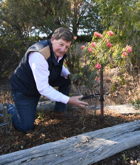 GOOD ADVICE: Gardening expert Reg Kidd says there are ways to help your garden survive the drought. Photo: CARLA FREEDMAN