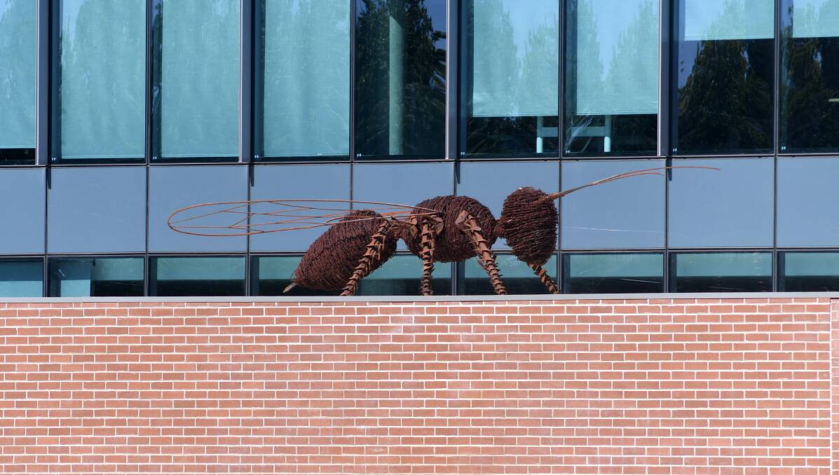 PACKS A STING: The metal wasp on a roof at the DPIE building in Prince Street. Photo: CARLA FREEDMAN