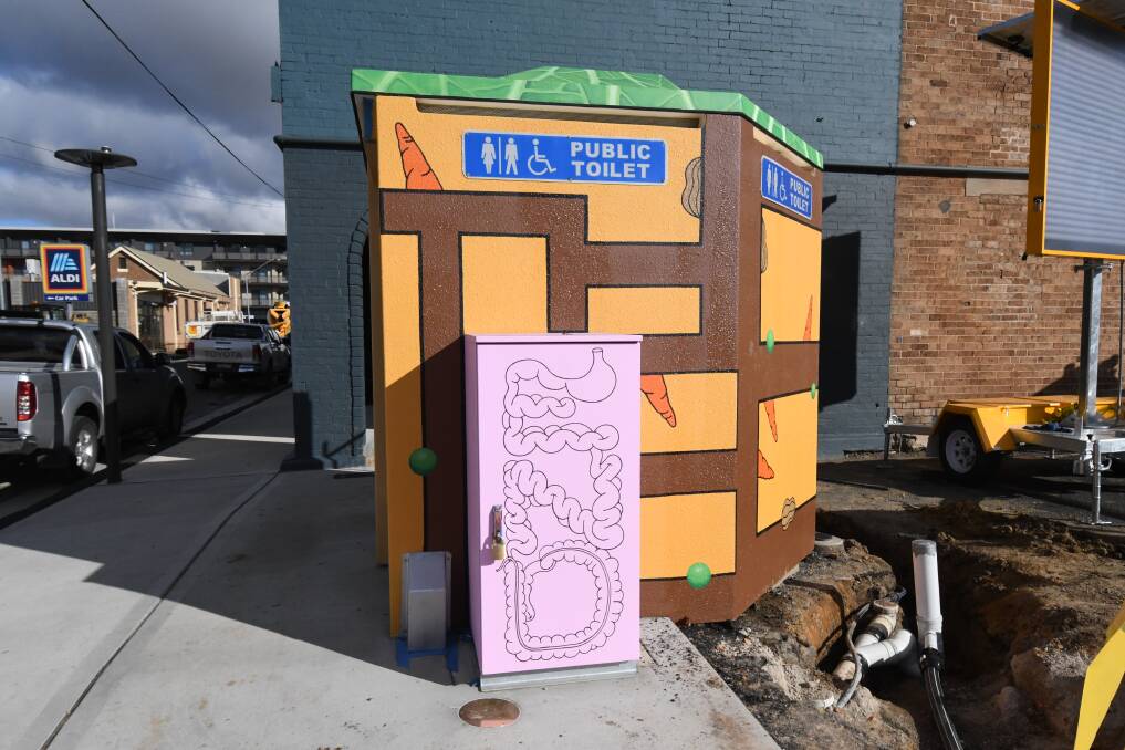 THE END: Tully Moore's work on a public toilet block in McNamara Street. Photo: JUDE KEOGH