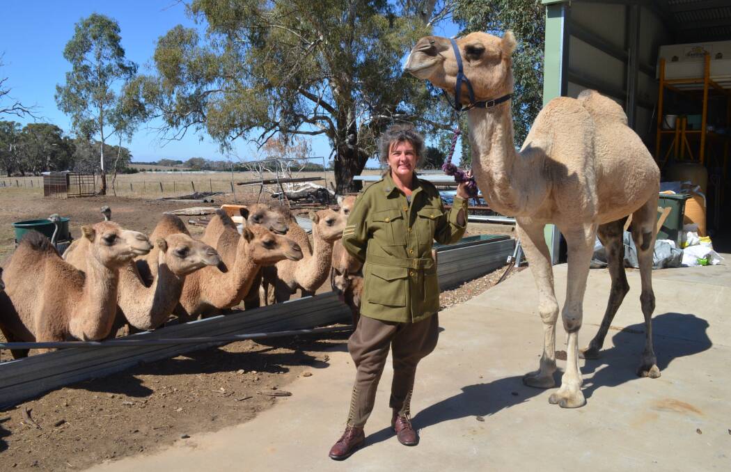 OUR SAY: We’re quickly developing a love affair with camels