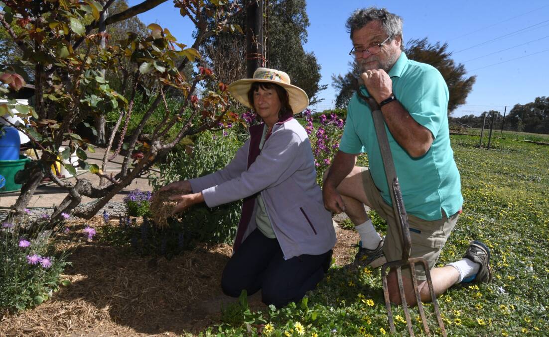 WATERWISE: Tina and Chris Mills demonstrate the importance of mulching on their Orange garden. Photo: CARLA FREEDMAN