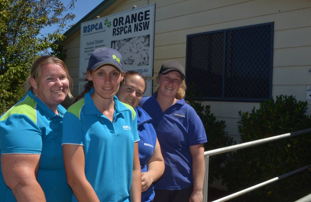 HEROES: RSPCA Orange shelter manager Marissa Clifford, customer service officer Sam Anderson, Dubbo foster care co-ordinator Kc Grealy and animal attendant Renee Archer. Photo: DAVID FITZSIMONS