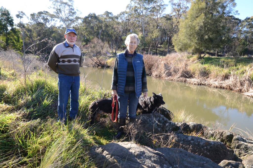 SAVE THE CREEK: Dennis Marsh and Dr Cilla Kinross (with Wilson and Domino) beside the Summer Hill Creek they fear will suffer from stormwater harvesting. Photo: JUDE KEOGH