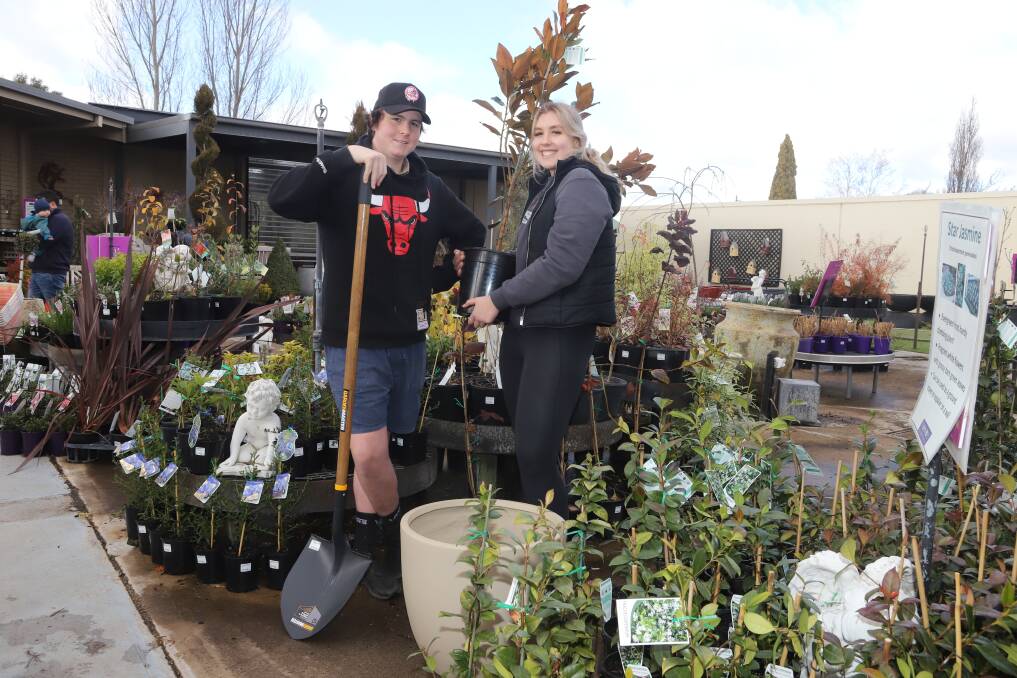 CHOICE: Pots and pot plants come in all sizes as Josh Alexander and Alana Dihel show at Thomson's Garden Centre. Photo: CARLA FREEDMAN