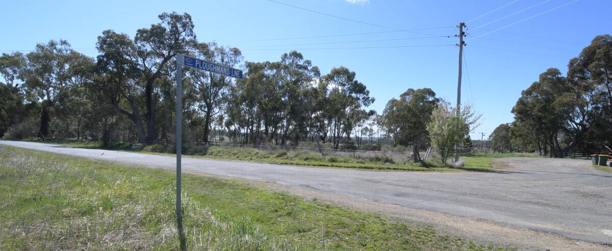 RURAL SCENE: The Southern Feeder Road, complete with a horse and rider underpass will be sited near the south-west corner of Towac Park. Photo: CARLA FREEDMAN