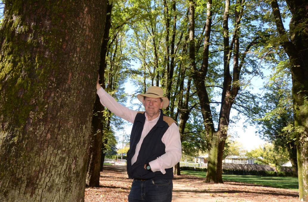 PLANT A TREE: Gardening expert Reg Kidd with some of Orange's glorious trees in Cook Park. Photo: JUDE KEOGH
