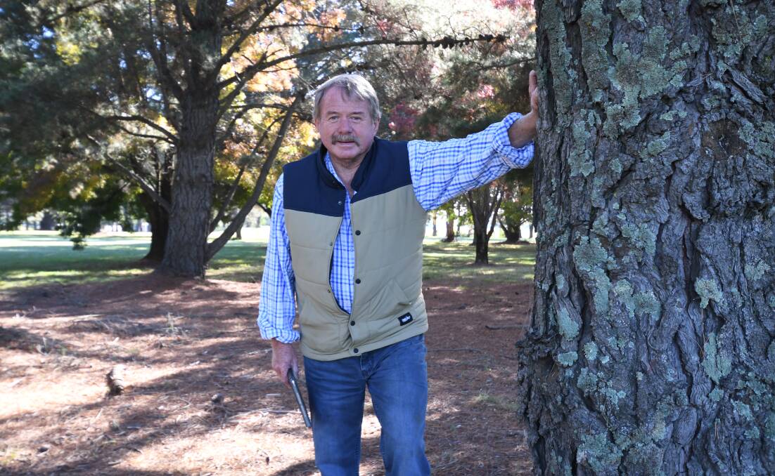 CALL FOR ACTION: Cr Kevin Duffy among the trees at Bloomfield he wants removed to make way for Orange's $25 million sporting precinct. Photo: CARLA FREEDMAN