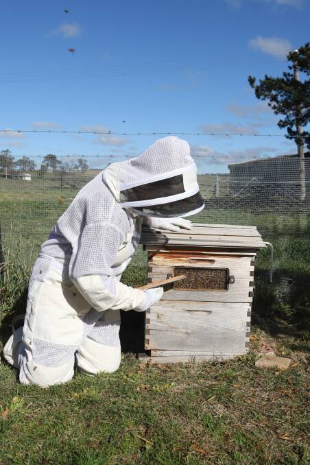 Bee happy: Tending the hive.