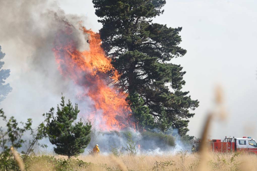 FIRE WARNING: A blaze burnt out a large area of bush at Blooomfield near the hospitals earlier this year. Photo: CARLA FREEDMAN