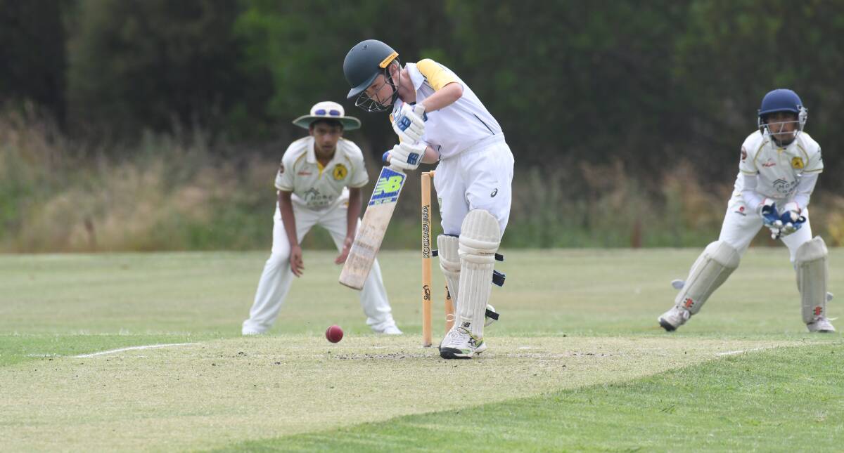 OPENING DAY: South Coast's Will Schofield in action at the cricket carnival. Photo: CARLA FREEDMAN 0107cfcricket4