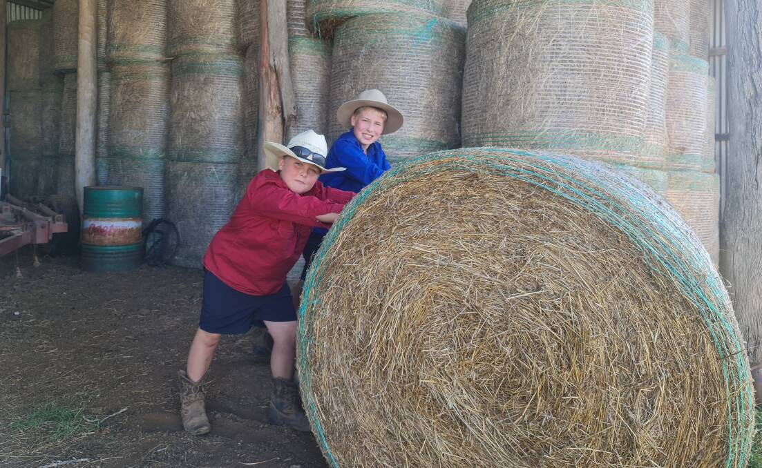 ROLL THEM OUT: Lachlan and William Ryan have come up with their own design for the Hay Bale Challenge that's based on a popular video game. Photo: Contributed.