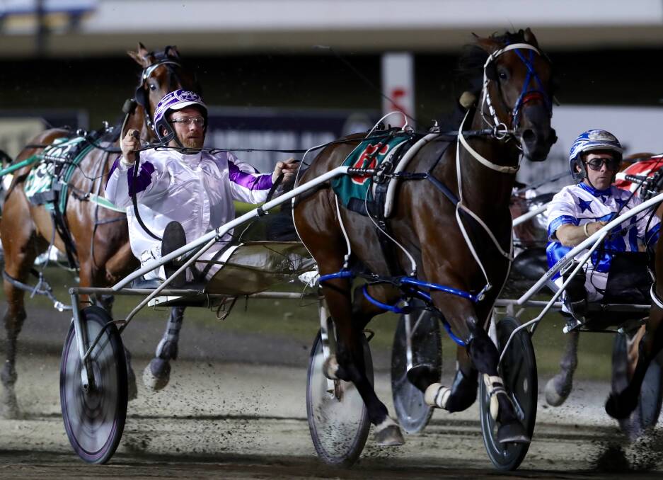 TASTY TREAT: Brian Portelli steers Tasty Delight to victory in the Gold Crown Final. Photo: PHIL BLATCH