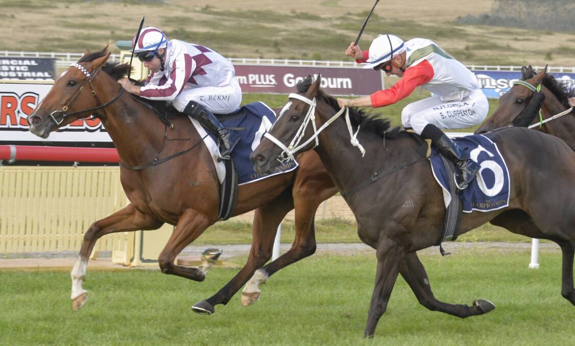 WINNING COMBINATION: Tommy Berry rode Art Cadeau (left) to victory in his Country Championships qualifier then did it again in the $500,000 final. Photo: BRADLEYPHOTOS.COM.AU