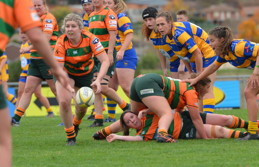 ON THE PROWL: Orange City has been the big improver of the 2022 Ferguson Cup and looks a good chance of qualifying for finals. Photo: ANYA WHITELAW