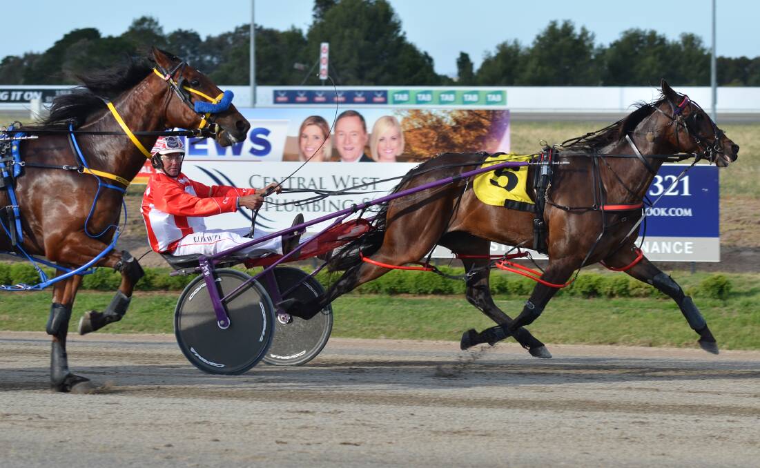QUICK LOOK: Bernie Hewitt takes a look on his inside to check on rival Uncle Sam as Scarlet Babe heads to victory in Wednesday's Soldiers Saddle Semi Final. Photo: ANYA WHITELAW