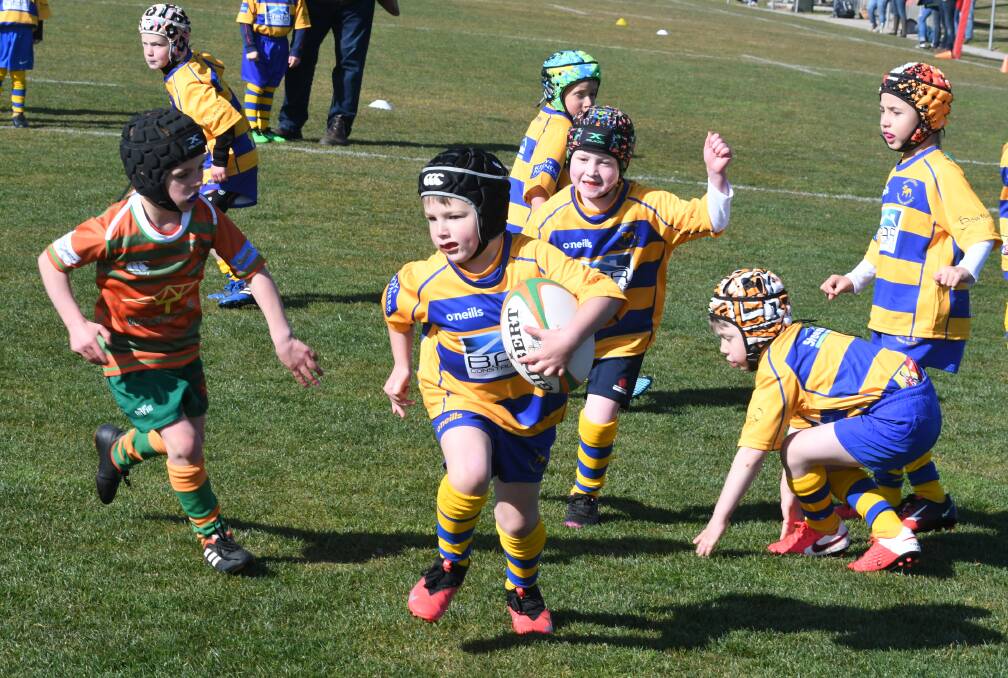 ON HOLD: All Central West Junior Rugby Union competitions and Walla gala days have been suspended for a week in response to the stay-at-home orders. Photo: CHRIS SEABROOK