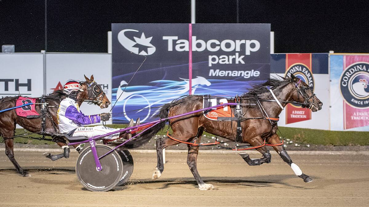 WINNER: Write About Lexy was one of three Alabar Breeders Challenge Blue winners for Bernie Hewitt on Saturday night. Photo: ABP PHOTOGRAPHY