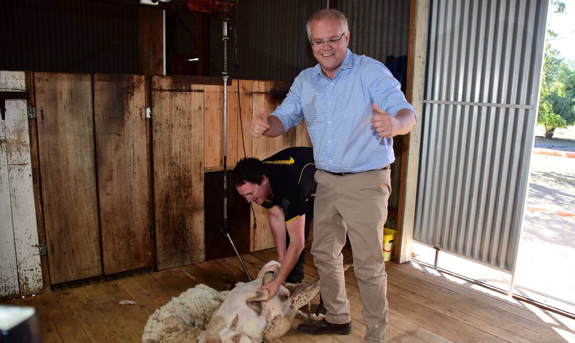 THUMBS UP: Prime Minister Scott Morrison learning about shearing sheep during his last visit to Dubbo in April. Photo: BELINDA SOOLE