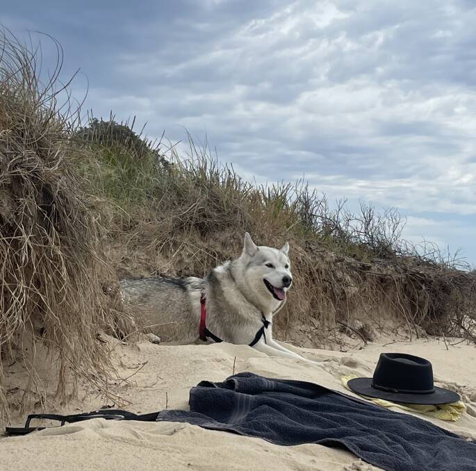 Theo enjoying the beach while on holiday at Mystery Bay. Picture: James Mebberson