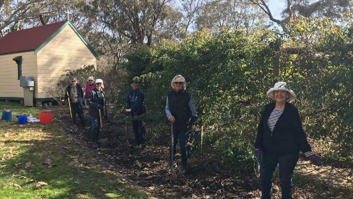 WORKING BEE: Heritage Rose Group volunteer members Patricia Bannatyne, Pam Bradford, Barb Mutton, Janette Thomas, Helen Green and Audrey Tonkin plant twelve heritage roses to form a hedge for spring. Photo: SUPPLIED 