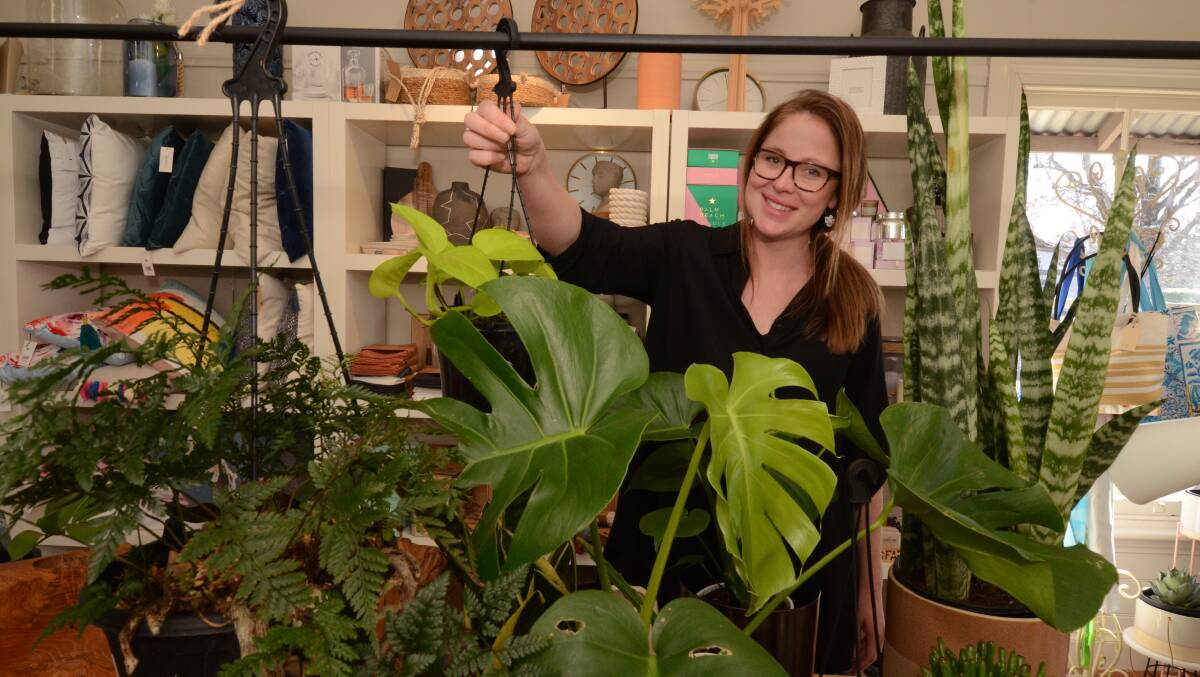 INDOOR GROWTH: Anything Grows owner Clare Bremerkamp noticed a blooming interest in people buying plants during COVID-19. Photo: JUDE KEOGH