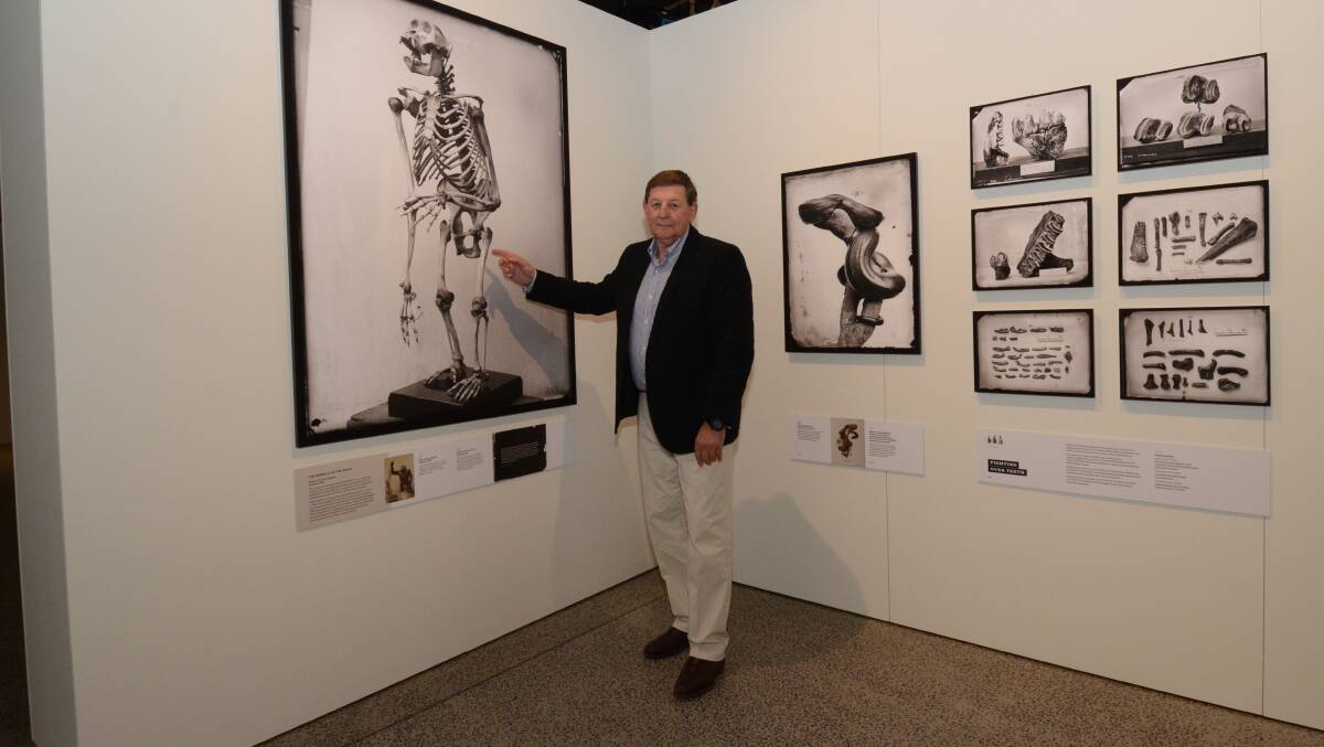EXHIBITION: Orange City Council mayor Reg Kidd welcomes display of Australia's earliest scientific photographs at the museum. Photo: JUDE KEOGH