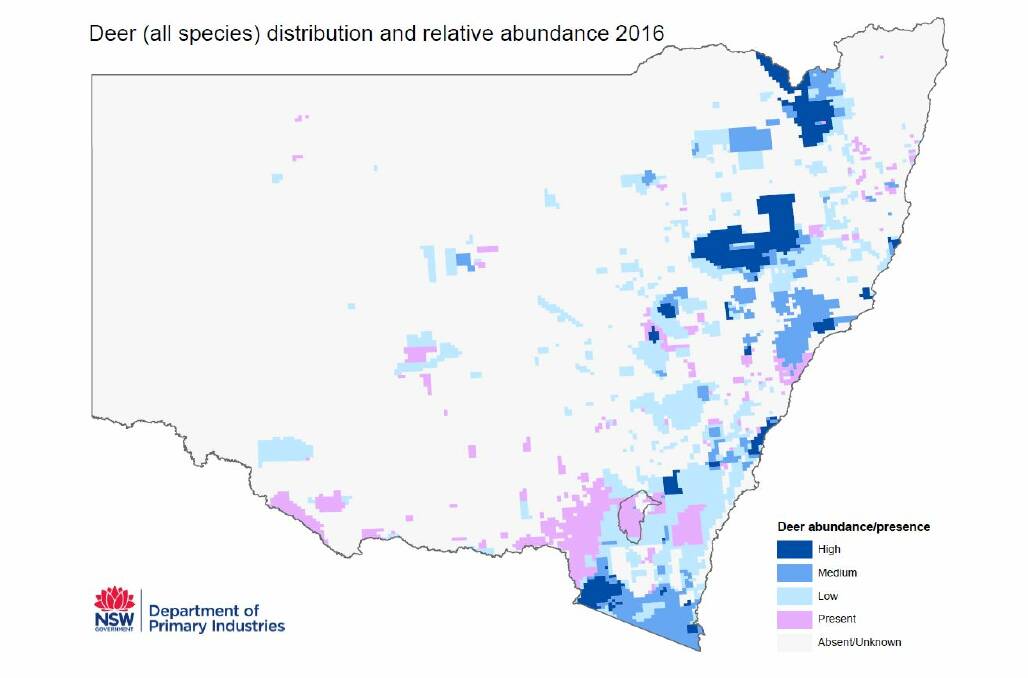 MORE OF AN I-DEER: Regions across NSW impacted by large deer populations. 