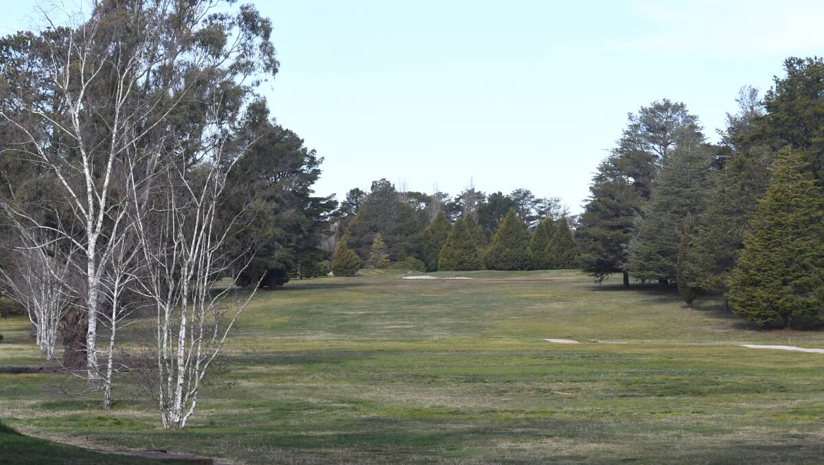HOT TOPIC: The trees on the old Country Club golf course. 