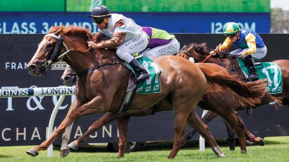 TOO GOOD: The Gayna Williams-trained Zoo Station wins the $100,000 Highway Handicap at Rosehill. Photo: STEVE HART.
