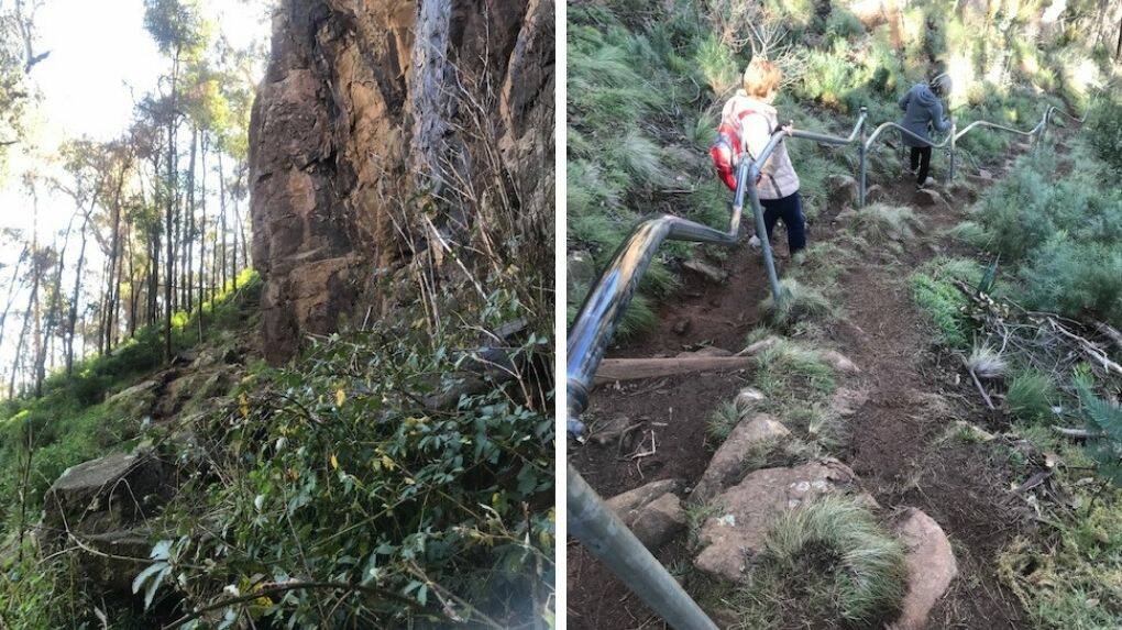 WEED ABOUT IT: Some photos of the Federal Falls trail on Mount Canobolas, with weeds present along the walk. Photos: CONTRIBUTED