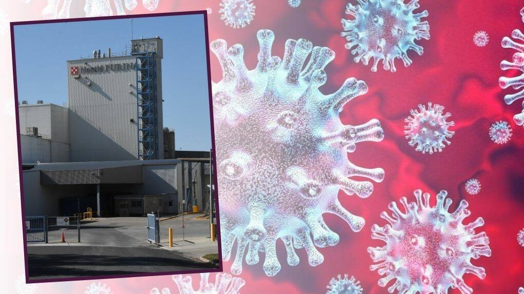 BEING TREATED: The active case of COVID-19 in Western NSW is still receiving treatment for the Delta strain after testing positive for the virus while working in Blayney. 