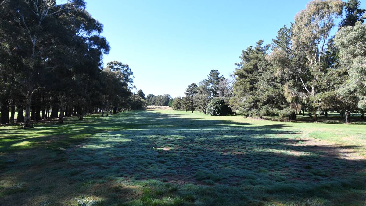 NO SAY: The tree-lined fairways of the old Bloomfield golf course, which is the proposed site for the new sporting precinct. Photo: JUDE KEOGH